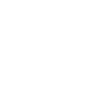 Logotipo VNX Capital